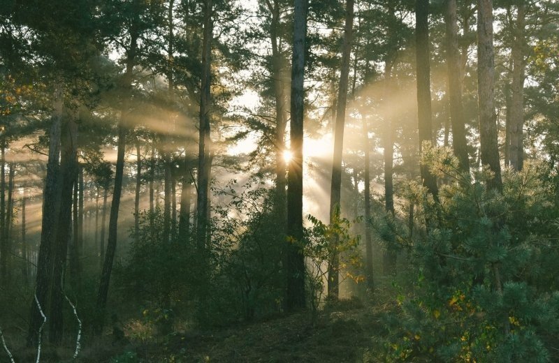 Cycle route through the Achterhoek