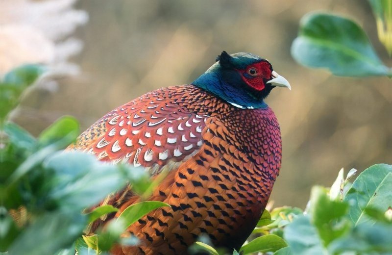 Cycle route in the Doetinchem area