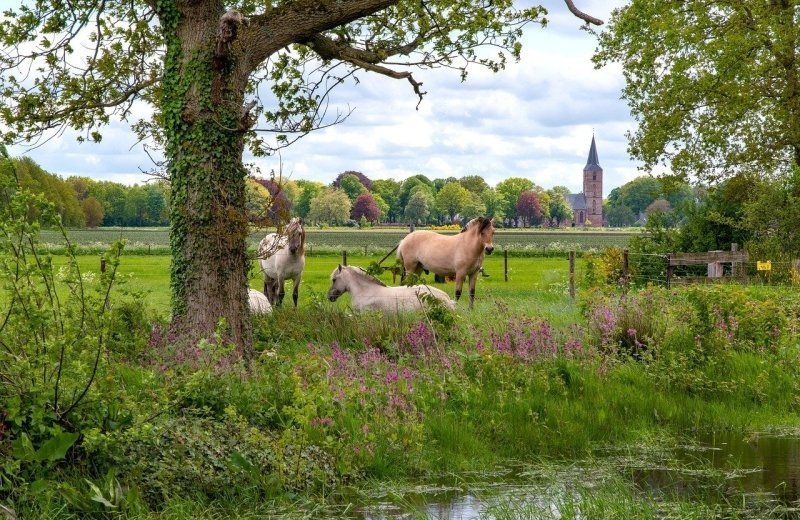 Cycle route Zelhem and Zieuwent